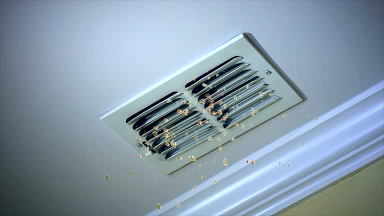 Best Affordable Duct Cleaning Services  in Desoto Lakes, FL