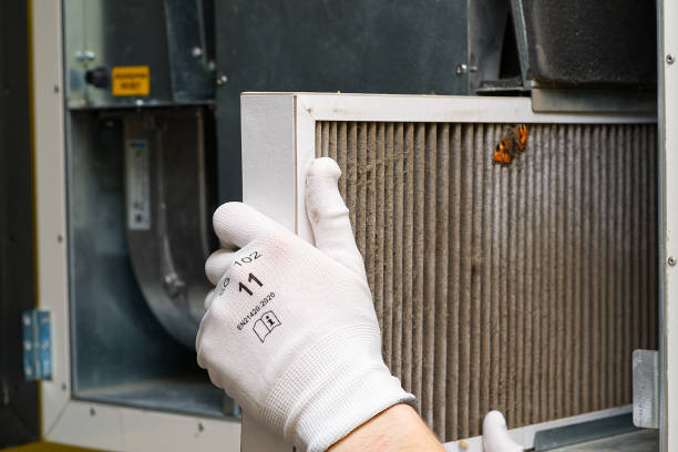 Best Emergency Air Duct Cleaning  in Desoto Lakes, FL